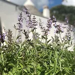 I Trulli Della Naturabio Εξοχικό σπίτι Μαρτίνα Φράνκα